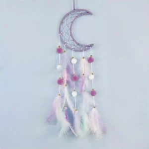 Attrape Rêve Lune Lumineux