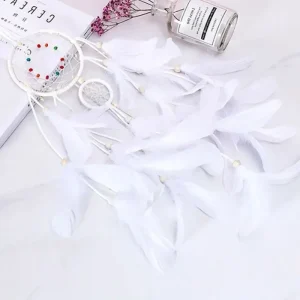 Attrapereve Pas Cher A Plumes