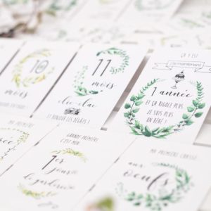 Nuage Chantilly – Cartes étapes BOTANIQUE – 0/12 mois