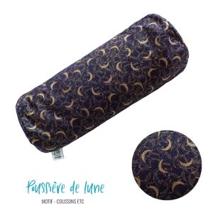 Le p'tit etc. "Poussiere de Lune"