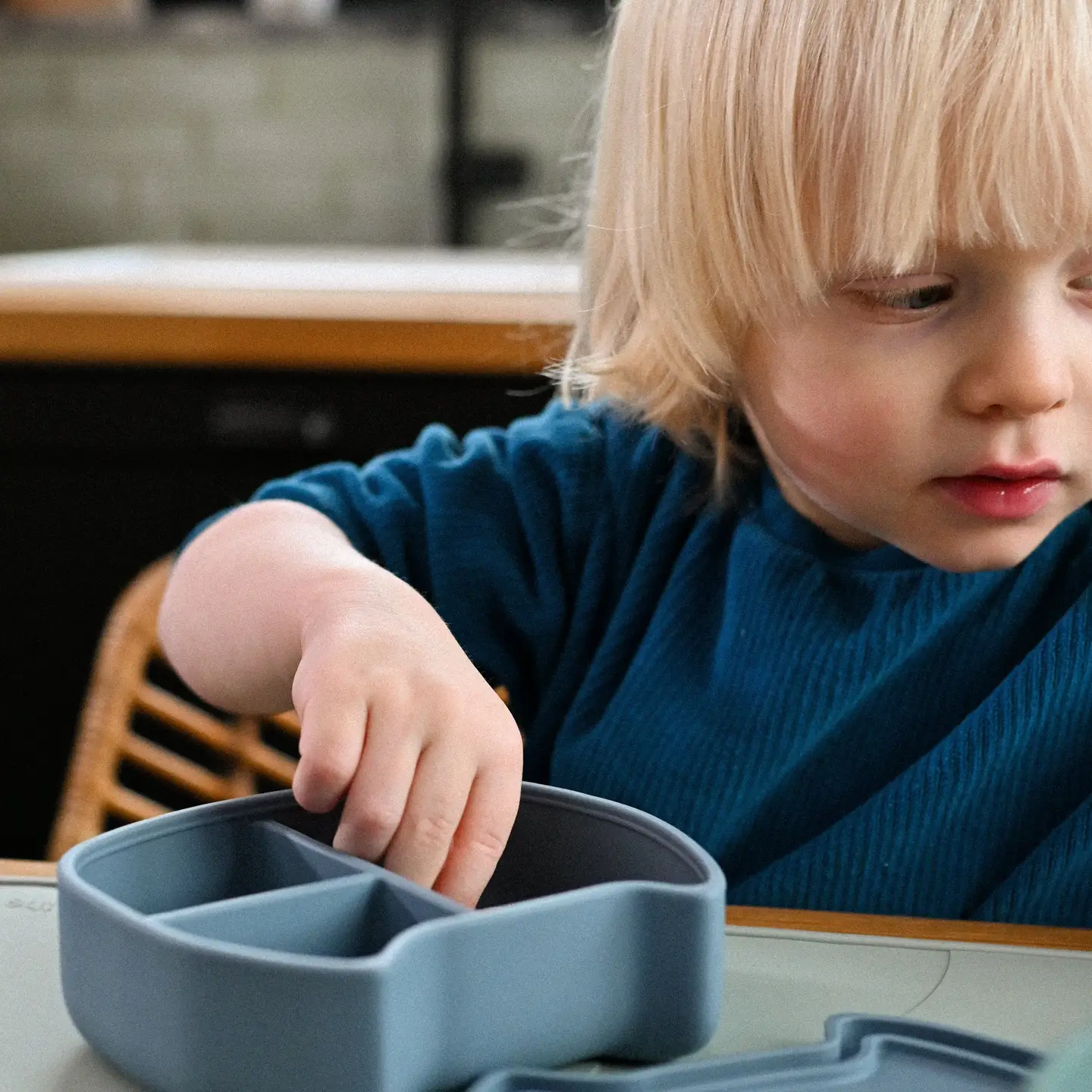 The Cotton Cloud – Boîte à lunch compartimentée – Chat – Image 3