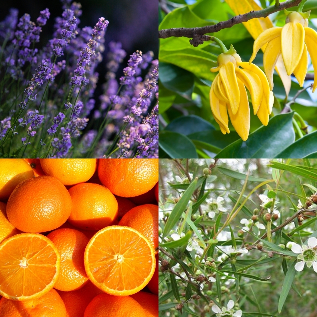 Cocooning – Galets de douche 2pces – Chill Time – Image 3