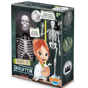 Squelette 45cm – Buki